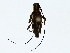 ( - BIOUG85250-E09)  @11 [ ] CreativeCommons - Attribution (2022) CBG Photography Group Centre for Biodiversity Genomics