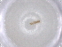  ( - BCS-IAAM-44759-B06)  @11 [ ] CreativeCommons - Attribution Share-Alike (2023) Centre for Biodiversity Genomics Centre for Biodiversity Genomics