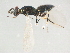  ( - HYMC05055-1)  @13 [ ] CreativeCommons - Attribution (2011) CBG Photography Group Centre for Biodiversity Genomics