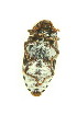  ( - FHI-025)  @12 [ ] Unspecified (default): All Rights Reserved  Unspecified Unspecified