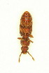  ( - FHI-044)  @13 [ ] Unspecified (default): All Rights Reserved  Unspecified Unspecified