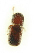  ( - FHI-063)  @14 [ ] Unspecified (default): All Rights Reserved  Unspecified Unspecified