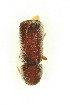  ( - FHI-079)  @11 [ ] Unspecified (default): All Rights Reserved  Unspecified Unspecified