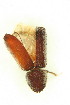  ( - FHI-080)  @11 [ ] Unspecified (default): All Rights Reserved  Unspecified Unspecified