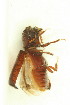  ( - FHI-080)  @11 [ ] Unspecified (default): All Rights Reserved  Unspecified Unspecified