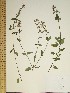  ( - CSU005)  @11 [ ] Unspecified (default): All Rights Reserved  Unspecified Unspecified