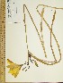  ( - CSU024)  @11 [ ] Unspecified (default): All Rights Reserved  Unspecified Unspecified