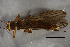  ( - cvcovecrk1)  @11 [ ] Unspecified (default): All Rights Reserved  Unspecified Unspecified