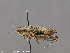  ( - CSU_ENT0064663)  @11 [ ] Unspecified (default): All Rights Reserved  Unspecified Unspecified