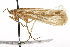  ( - CSUPOBK-0672)  @13 [ ] CreativeCommons - Attribution (2010) CBG Photography Group Centre for Biodiversity Genomics