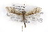  ( - CSUPOBK-0888)  @14 [ ] CreativeCommons - Attribution (2010) CBG Photography Group Centre for Biodiversity Genomics