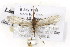  ( - CSUPOBK-0890)  @12 [ ] CreativeCommons - Attribution (2010) CBG Photography Group Centre for Biodiversity Genomics