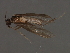  ( - 07PROBE-07179)  @12 [ ] CreativeCommons - Attribution (2008) Unspecified Centre for Biodiversity Genomics