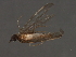  ( - 07PROBE-07180)  @12 [ ] CreativeCommons - Attribution (2008) Unspecified Centre for Biodiversity Genomics