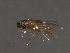  ( - 07PROBE-07188)  @12 [ ] CreativeCommons - Attribution (2008) Unspecified Centre for Biodiversity Genomics