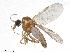  ( - FAP3ST-DAB02-026)  @11 [ ] CreativeCommons - Attribution Share-Alike (2019) University of Guelph, Hanner Laboratory My Institution