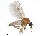  ( - FAP3ST-DAB02-026)  @11 [ ] CreativeCommons - Attribution Share-Alike (2019) University of Guelph, Hanner Laboratory My Institution