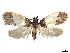  ( - CCDB-39378-C09)  @11 [ ] CreativeCommons - Attribution Share - Alike (2023) CBG Photography Group Centre for Biodiversity Genomics