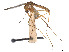  ( - CCDB-45178-B02)  @11 [ ] CreativeCommons - Attribution Share - Alike (2024) CBG Photography Group Centre for Biodiversity Genomics