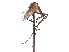  (Aedes longiforceps - CCDB-45178-C10)  @11 [ ] CreativeCommons - Attribution Share - Alike (2024) CBG Photography Group Centre for Biodiversity Genomics