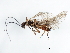  ( - 09CUSTO-004)  @14 [ ] CreativeCommons - Attribution (2009) Unspecified Centre for Biodiversity Genomics