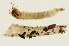  ( - 09CUTLV-004)  @12 [ ] CreativeCommons - Attribution (2009) Unspecified Centre for Biodiversity Genomics