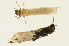  ( - 09CUTLV-005)  @12 [ ] CreativeCommons - Attribution (2009) Unspecified Centre for Biodiversity Genomics