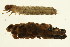  ( - 09CUTLV-043)  @12 [ ] CreativeCommons - Attribution (2009) Unspecified Centre for Biodiversity Genomics