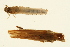  ( - 09CUTLV-242)  @14 [ ] CreativeCommons - Attribution (2009) Unspecified Centre for Biodiversity Genomics