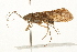  ( - 09CUTRI-076)  @13 [ ] CreativeCommons - Attribution (2009) Unspecified Centre for Biodiversity Genomics