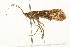  ( - 09CUTRI-077)  @13 [ ] CreativeCommons - Attribution (2009) Unspecified Centre for Biodiversity Genomics