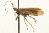  ( - 09CUTRI-082)  @13 [ ] CreativeCommons - Attribution (2009) Unspecified Centre for Biodiversity Genomics