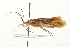  ( - 08CUTRI-011)  @13 [ ] CreativeCommons - Attribution (2009) Unspecified Centre for Biodiversity Genomics