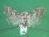  ( - KLM Lep 01424)  @12 [ ] CreativeCommons - Attribution Non-Commercial Share-Alike (2014) Christian Wieser Landesmuseum Kärnten