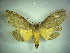  ( - KLM Lep 00443)  @13 [ ] CreativeCommons - Attribution Non-Commercial Share-Alike (2012) Christian Wieser Landesmuseum Kärnten