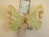  ( - KLM Lep 00707)  @13 [ ] CreativeCommons - Attribution Non-Commercial Share-Alike (2013) Peter Huemer Landesmuseum Kärnten