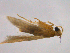  ( - BIORTP-014_C03)  @12 [ ] CreativeCommons - Attribution Non-Commercial (2015) Department of Agriculture, Thailand Department of Agriculture, Thailand