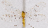  ( - CX21801)  @11 [ ] c (2020) Xingyue Liu Entomological Museum of China Agricultural University (CAU), Beijing