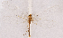  ( - CX30116)  @11 [ ] c (2020) Xingyue Liu Entomological Museum of China Agricultural University (CAU), Beijing