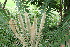  ( - Xdk 3)  @11 [ ] CreativeCommons - Attribution Non-Commercial Share-Alike (2011) Philip Rousseau Private
