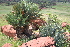  ( - PRU586)  @11 [ ] CreativeCommons - Attribution Non-Commercial Share-Alike (2011) Philip Rousseau Private
