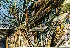  ( - PRU586)  @11 [ ] CreativeCommons - Attribution Non-Commercial Share-Alike (2011) Philip Rousseau Private
