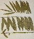  ( - PR656)  @11 [ ] No Rights Reserved  Unspecified Unspecified
