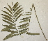  ( - PR659)  @11 [ ] No Rights Reserved  Unspecified Unspecified