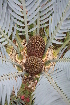  ( - PR660)  @11 [ ] Unspecified (default): All Rights Reserved  Unspecified Unspecified