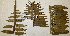  ( - PR665)  @11 [ ] No Rights Reserved  Unspecified Unspecified