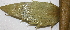  ( - PR665)  @11 [ ] No Rights Reserved  Unspecified Unspecified