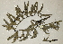  ( - PR666)  @11 [ ] No Rights Reserved  Unspecified Unspecified