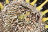  ( - PR669)  @11 [ ] Unspecified (default): All Rights Reserved  Unspecified Unspecified