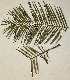 ( - PR690)  @11 [ ] No Rights Reserved  Unspecified Unspecified